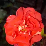 Hacienda Avoxa *