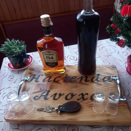 Hacienda Avoxa Daire *