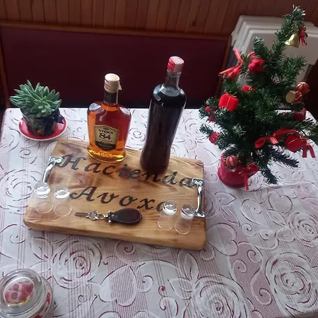 דירה Hacienda Avoxa