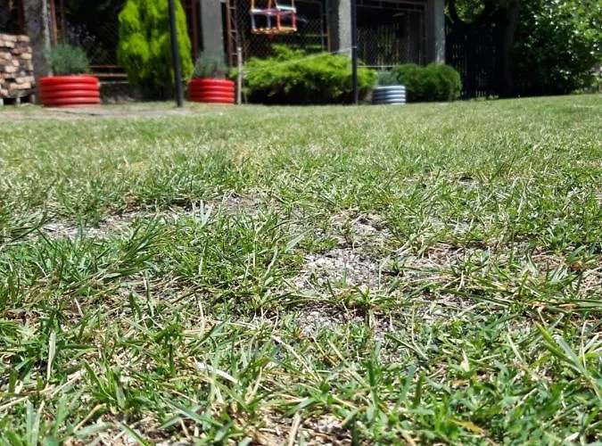 Hacienda Avoxa Apartman *