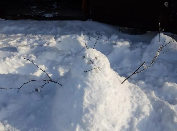 شقة Hacienda Avoxa *