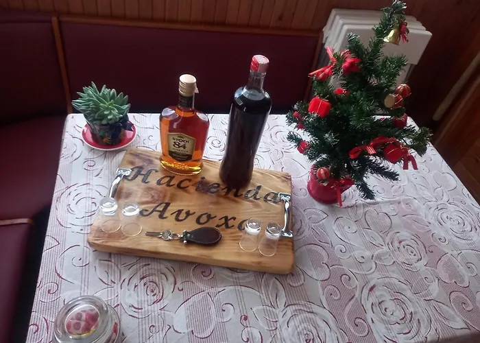 شقة Hacienda Avoxa